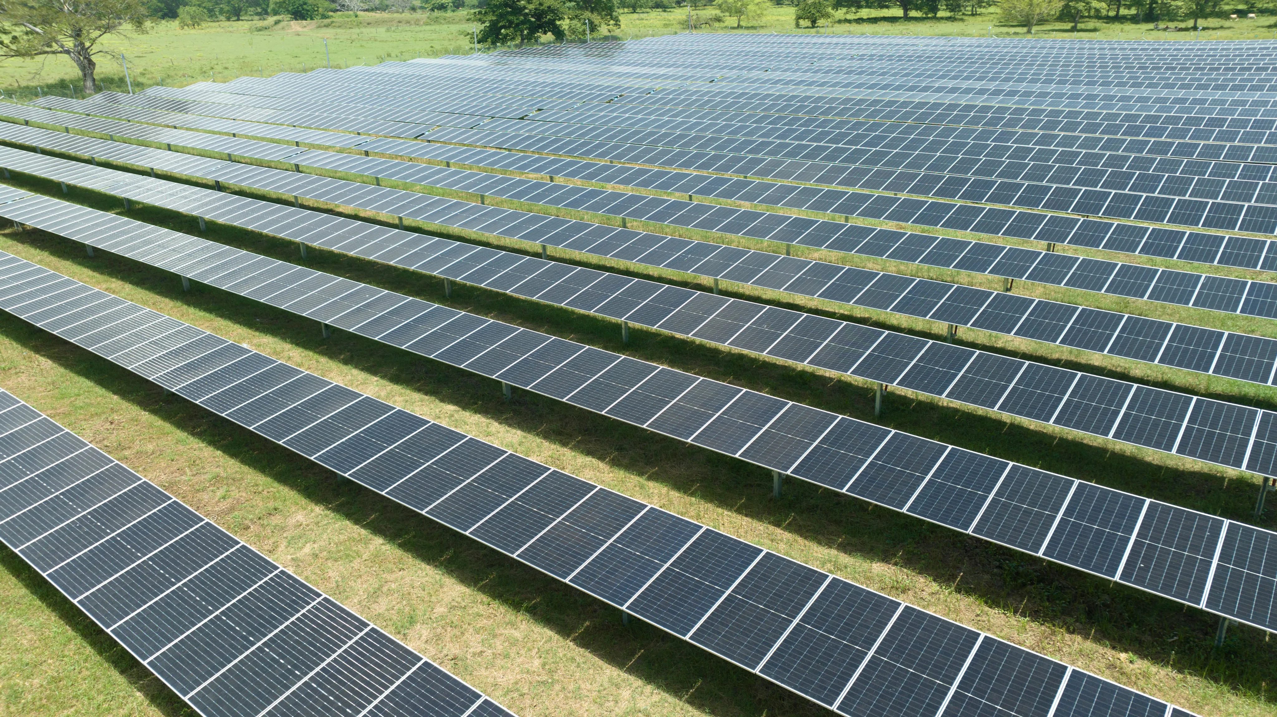 Parque de paneles solares en campo