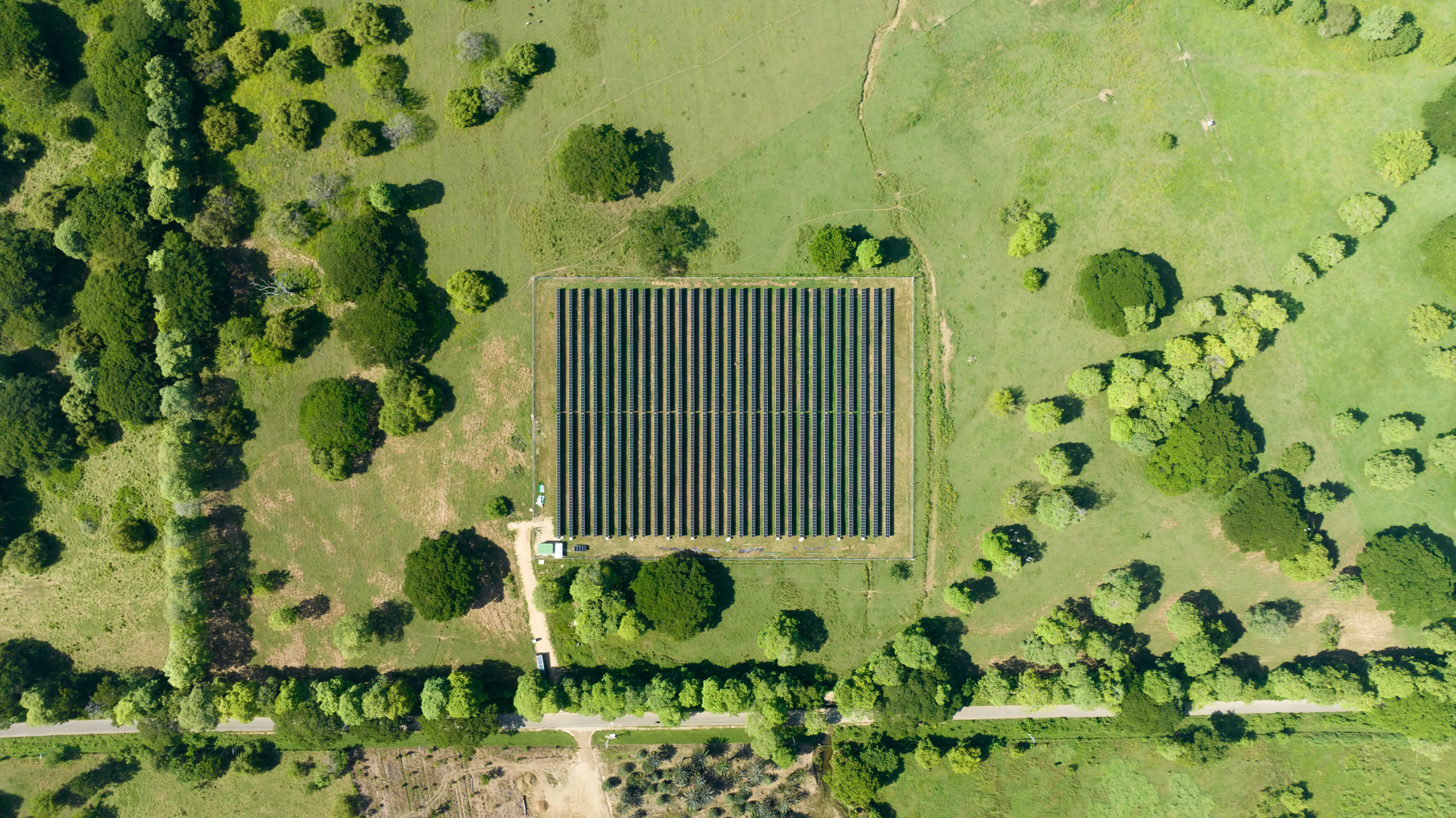 Toma cenital desde un dron que muestra un terreno verde con árboles alineados, sombras marcadas y divisiones de campo natural.